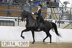 12r14_1265 proof