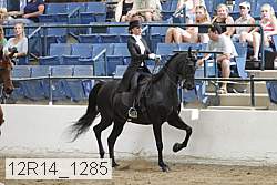 12r14_1285 proof