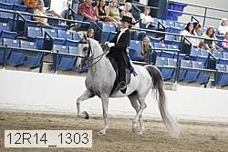 12r14_1303 proof