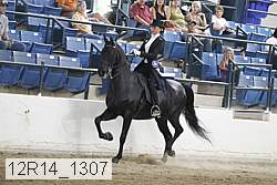 12r14_1307 proof