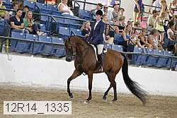 12r14_1335 proof