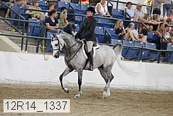 12r14_1337 proof