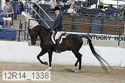 12r14_1338 proof