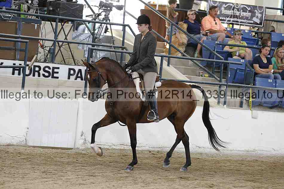 Proof 12r14_1339