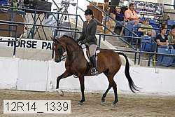 12r14_1339 proof