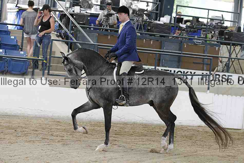 Proof 12r14_1341