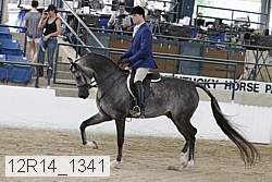 12r14_1341 proof