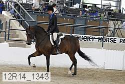 12r14_1343 proof