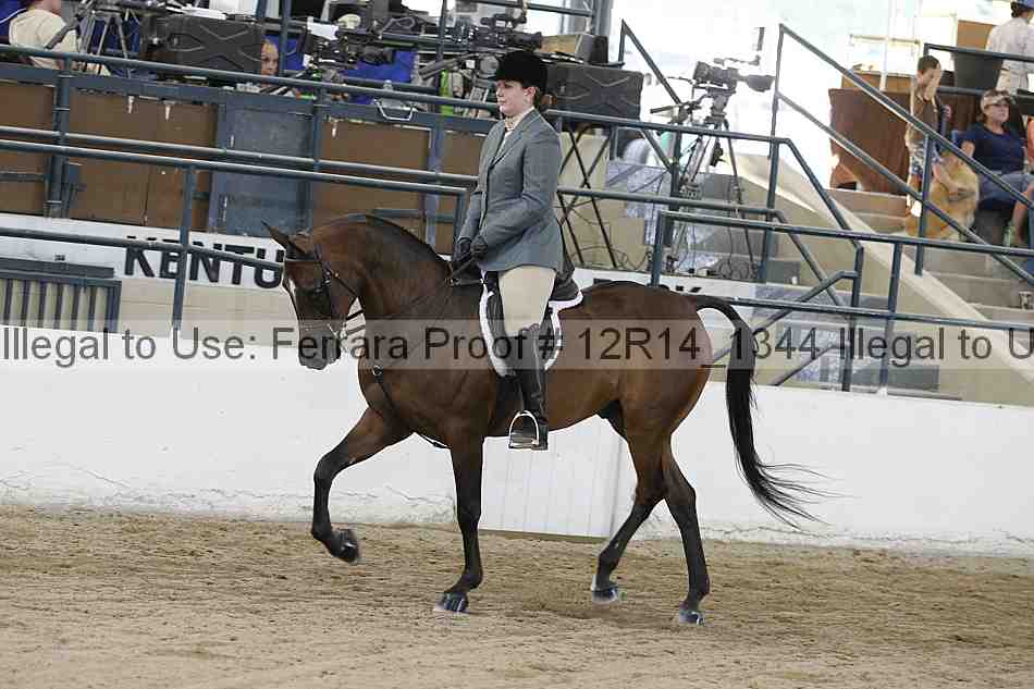 Proof 12r14_1344
