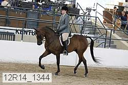 12r14_1344 proof