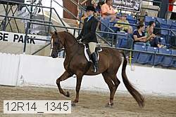 12r14_1345 proof