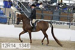 12r14_1346 proof