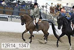 12r14_1347 proof