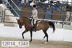 12r14_1348 proof