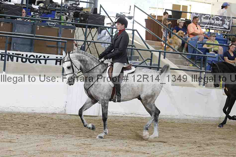 Proof 12r14_1349