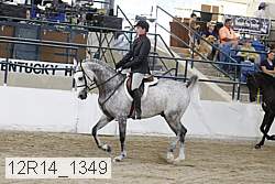 12r14_1349 proof