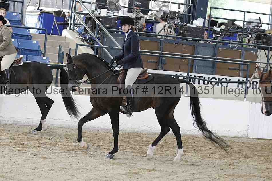 Proof 12r14_1351