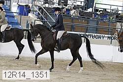 12r14_1351 proof