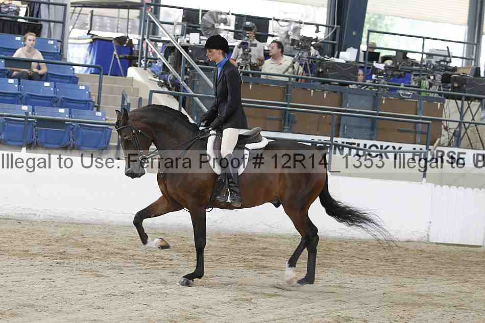 Proof 12r14_1353