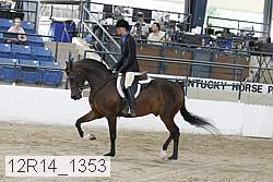 12r14_1353 proof