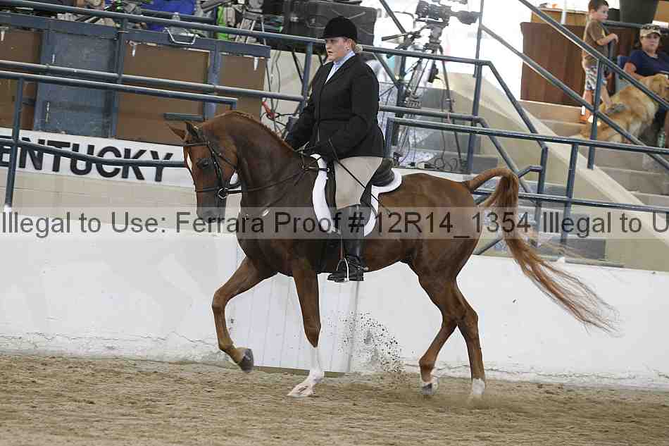 Proof 12r14_1354