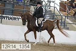 12r14_1354 proof