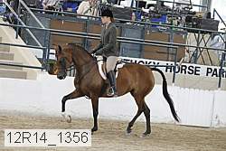 12r14_1356 proof