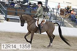 12r14_1358 proof