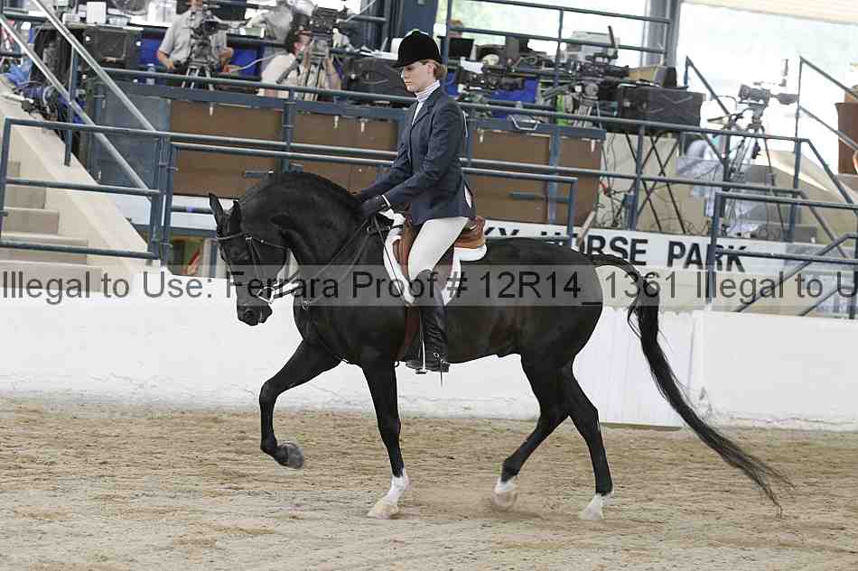 Proof 12r14_1361