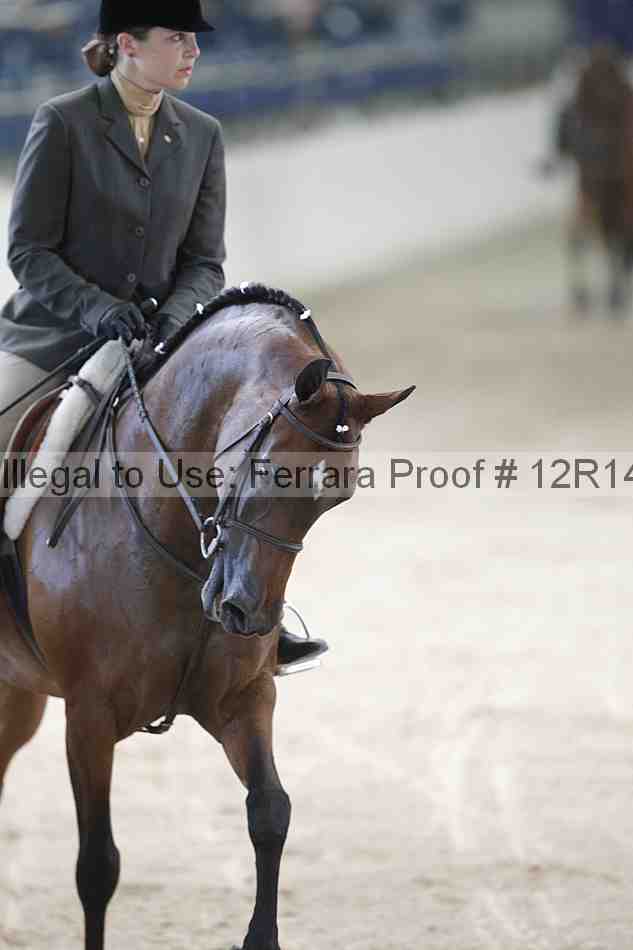 Proof 12r14_1362