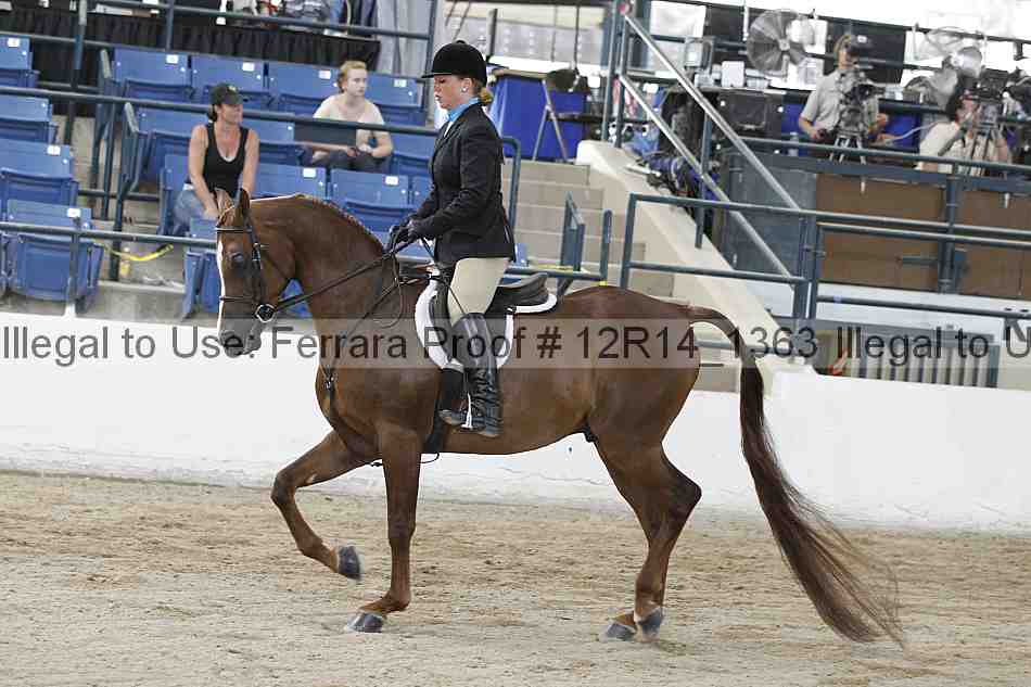 Proof 12r14_1363