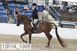 12r14_1363 proof