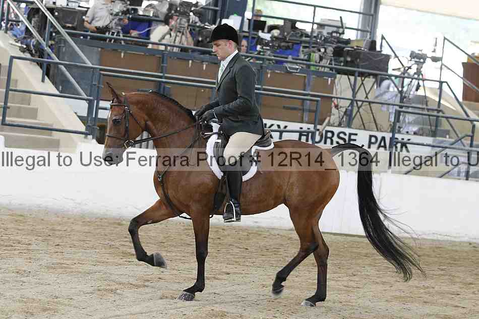 Proof 12r14_1364