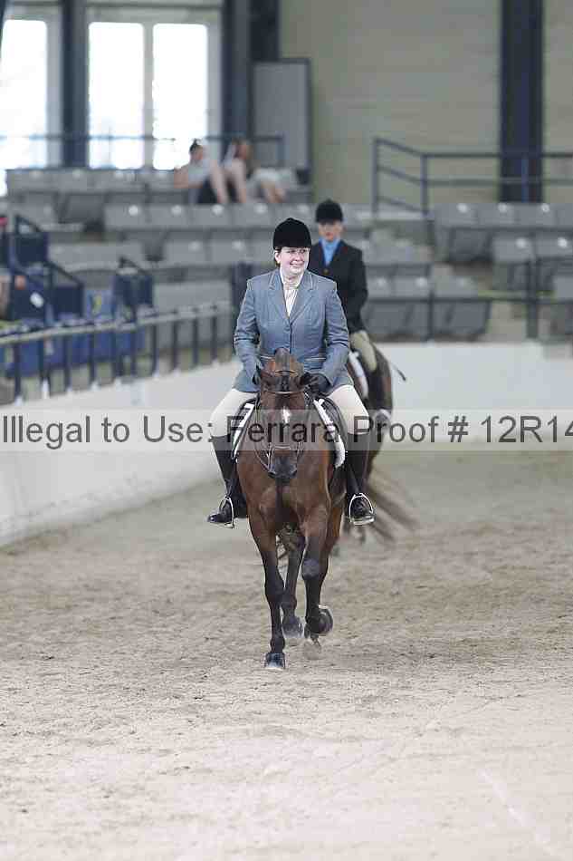 Proof 12r14_1365