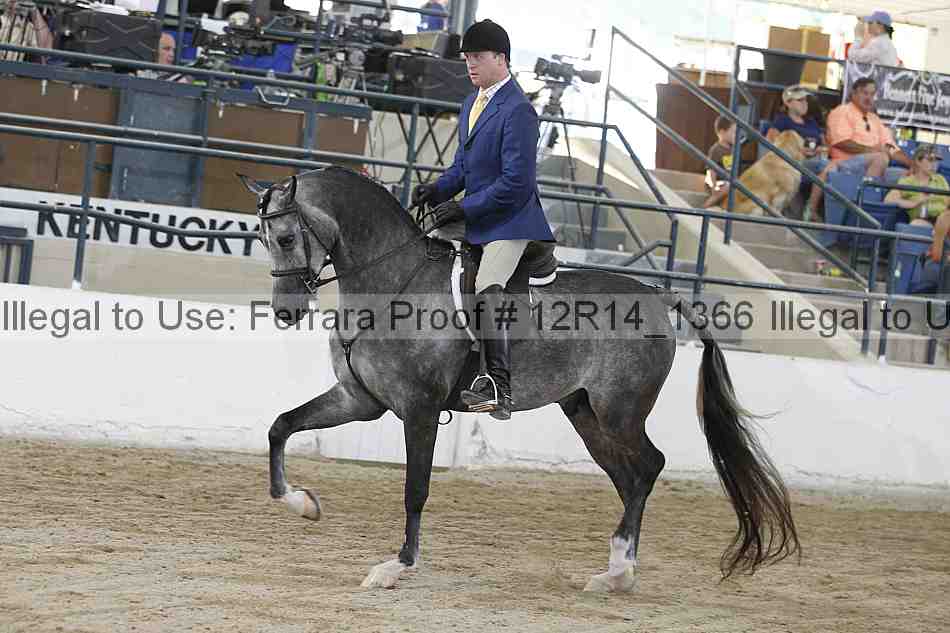 Proof 12r14_1366