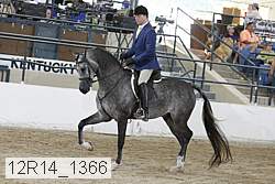 12r14_1366 proof