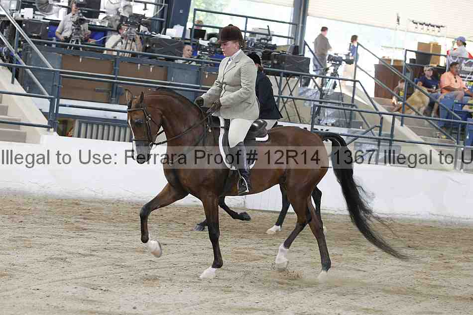 Proof 12r14_1367
