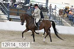 12r14_1367 proof