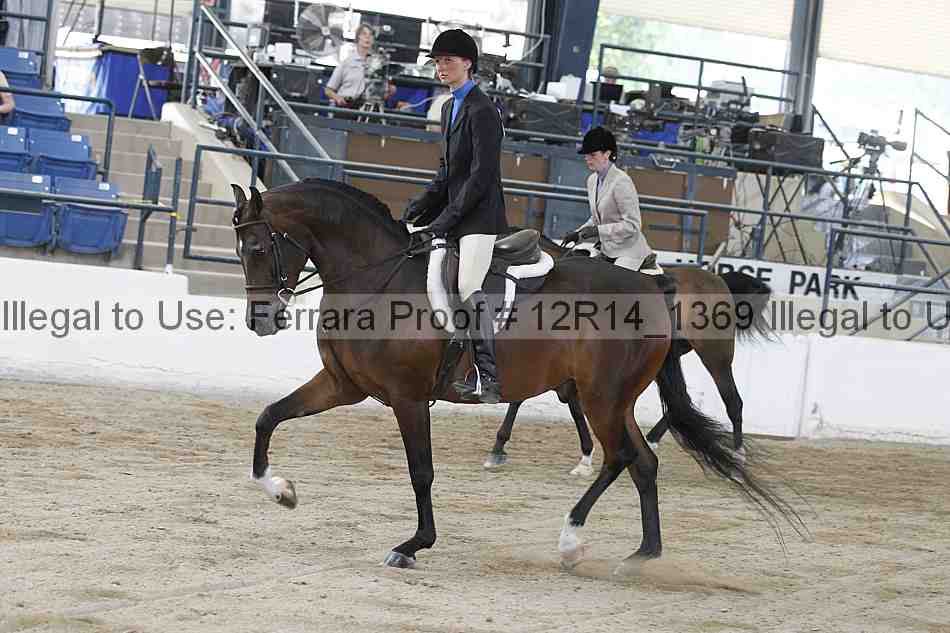 Proof 12r14_1369