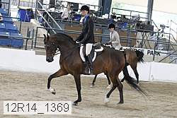 12r14_1369 proof