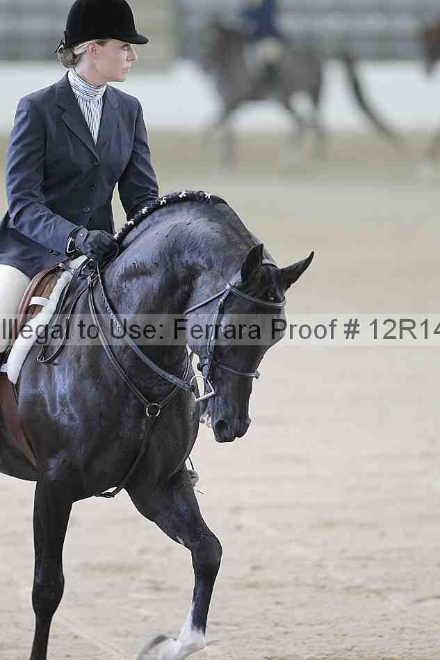 Proof 12r14_1370