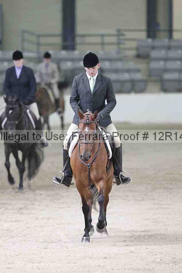 Proof 12r14_1371