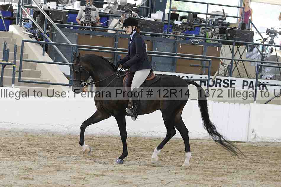 Proof 12r14_1372