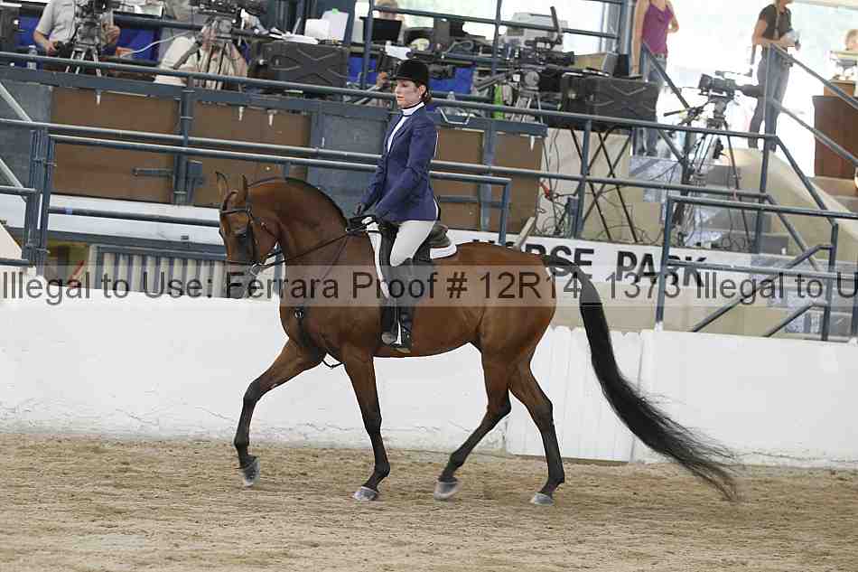 Proof 12r14_1373