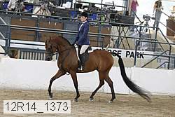 12r14_1373 proof