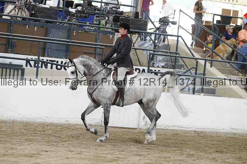 Proof 12r14_1374