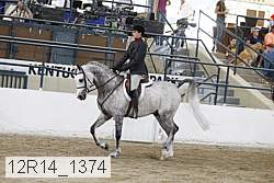 12r14_1374 proof