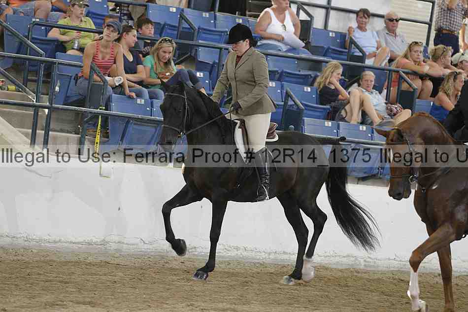 Proof 12r14_1375