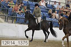 12r14_1375 proof