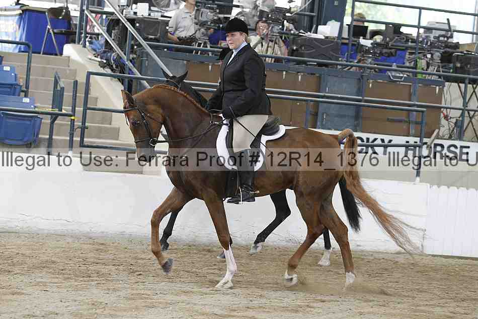 Proof 12r14_1376
